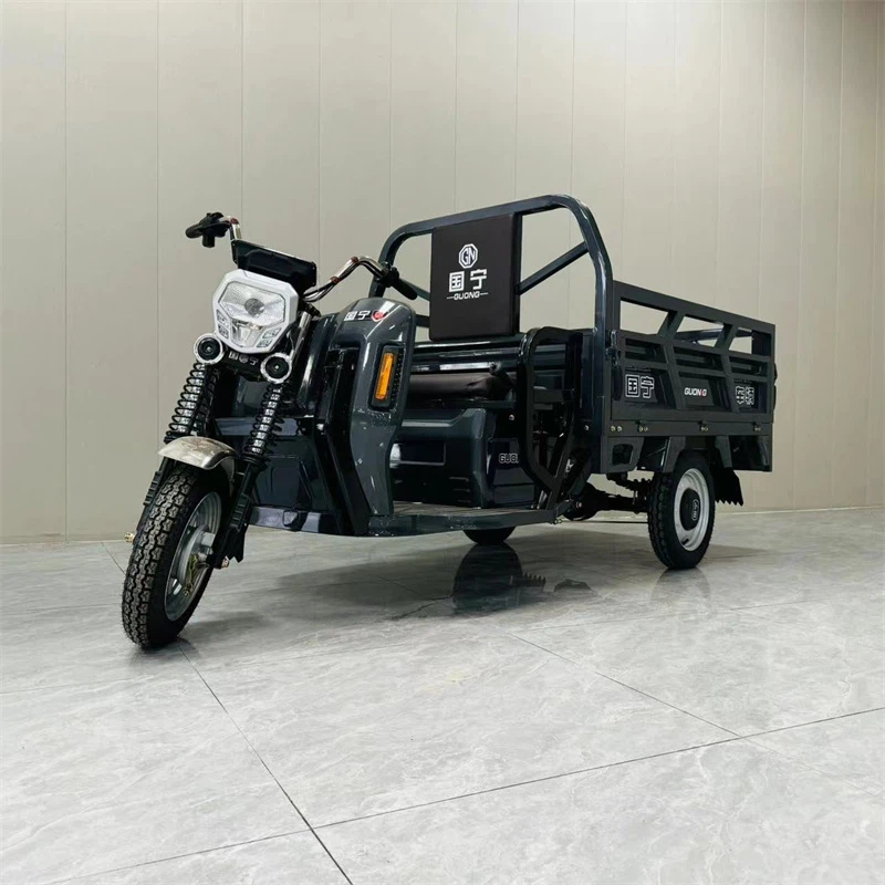 Cargo Electric Vehicle