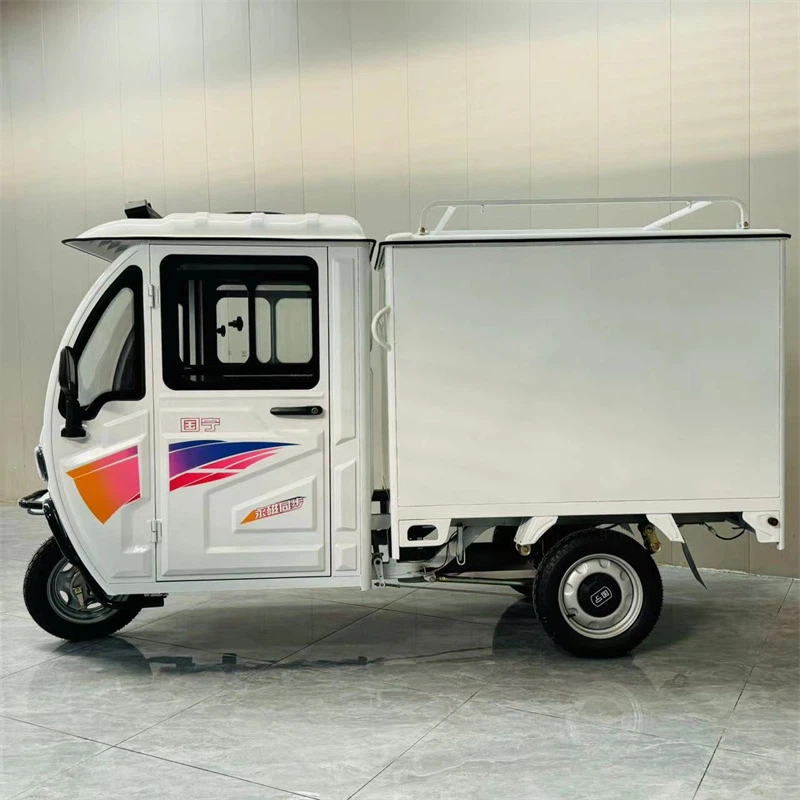 Closed Cargo Express Electric Tricycle