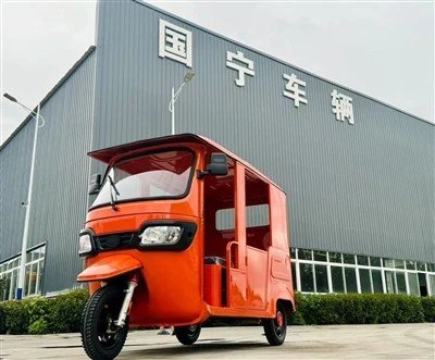 Guoning Electric Tricycle Leading Enterprise Successfully Delivers To Tanzani...